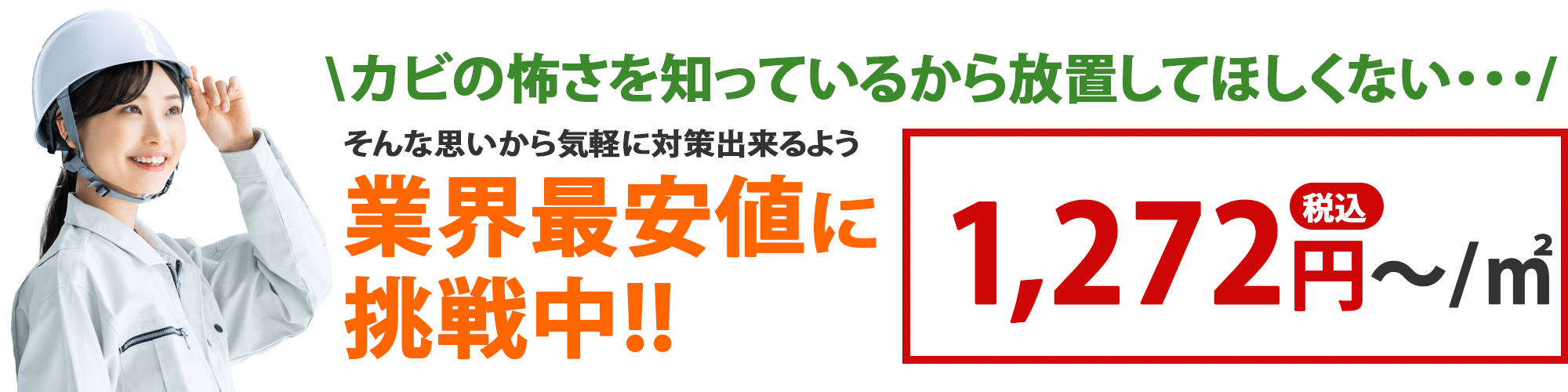 カビの怖さを知っているから放置してほしくない・・・1,272円(税込)〜/㎡