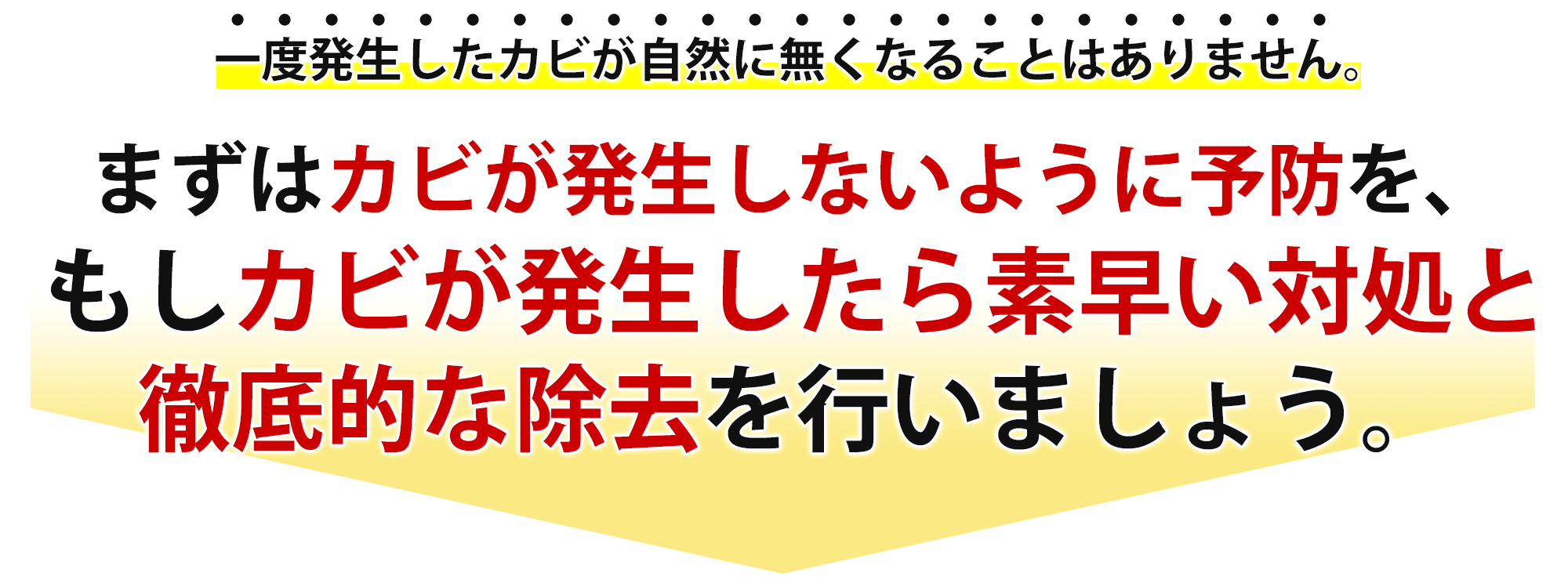 一度発生したカビが自然に無くなることはありません。