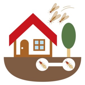 シロアリはコンクリートの住宅にも被害をもたらす 被害に遭いやすい住宅の特徴や対処法を紹介 株式会社alt