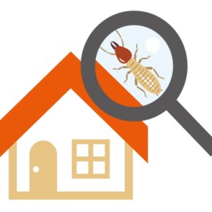 庭のウッドチップはシロアリ被害の原因になる 被害の防止には早めの対策が重要 株式会社alt