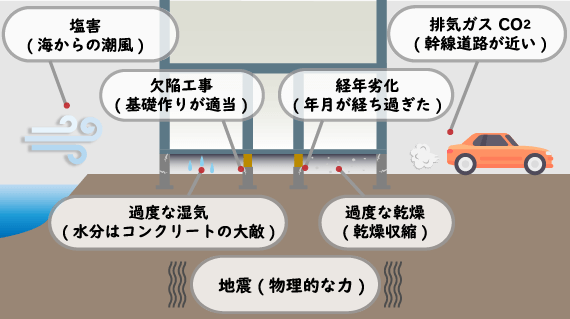 床下環境の様子