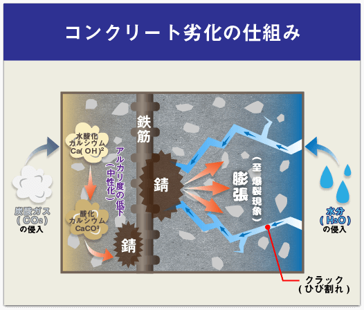 コンクリート劣化の仕組み